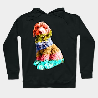 Rainbow Cockapoo Hoodie